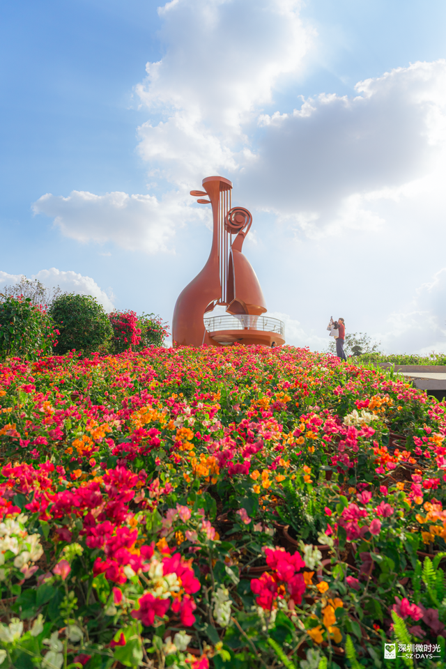 先睹为快！深圳巨型新地标启用，就在明天！