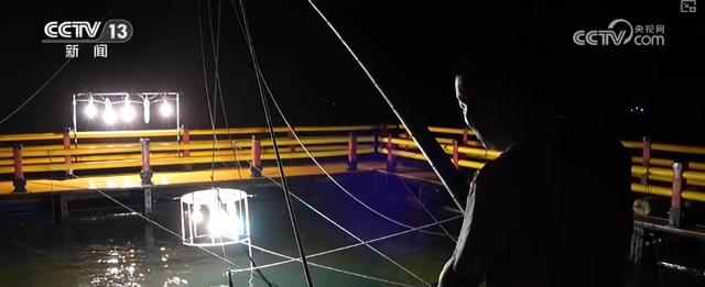 看海、读诗、非遗体验成文旅新标签 海岛焕新“向海而生”书写海洋经济新答卷