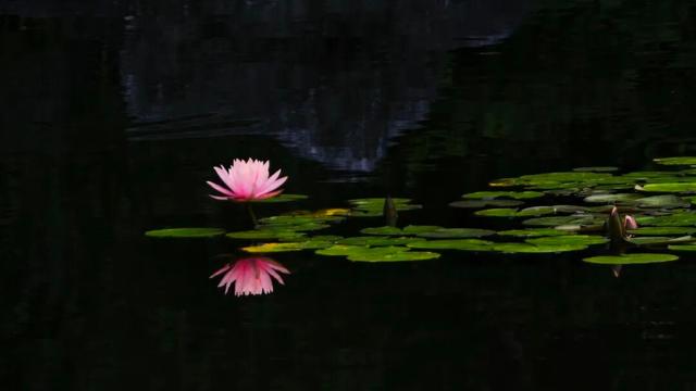 四时天工 扬州如画