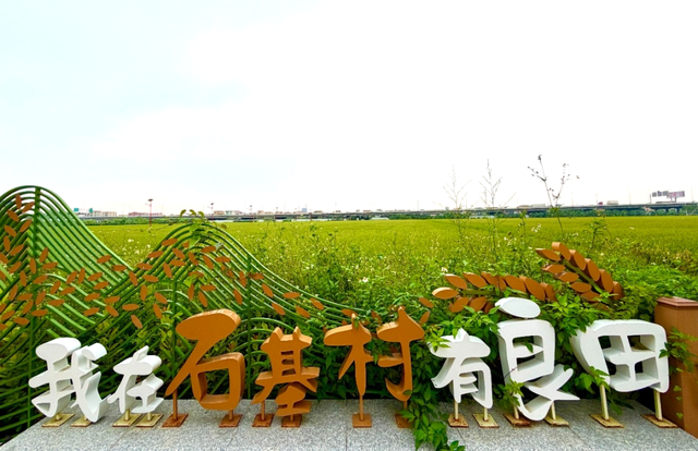 看稻田、赏繁花，邂逅南沙的秋日浪漫→