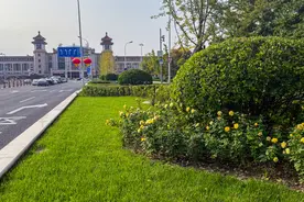 北京5条城市画廊亮相！二环路东城段四季有景、三季有花图片
