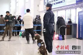 “汪妈”海燕与警犬“汪汪队”的不解情缘图片