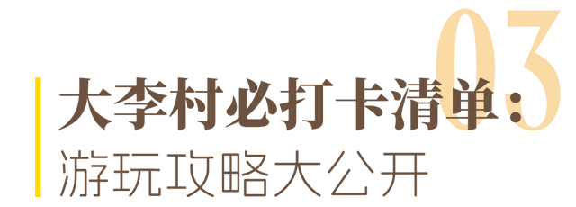 大李村重生之东湖乌托邦！游玩全攻略奉上