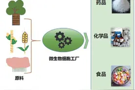 刘文：微生物源天然产物——“小身材，大能量”图片