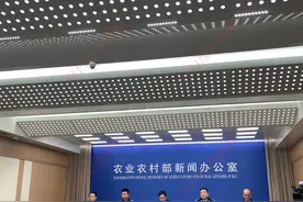 农业农村部：今年海洋伏季休渔全面结束，开捕以来主要经济品种捕捞产量均有提高图片