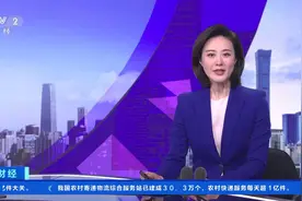 拥有7000个车位！国内首艘成功引入的大型滚装船在沪首航图片
