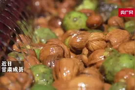 甘肃成县：一颗核桃的产业发展路图片