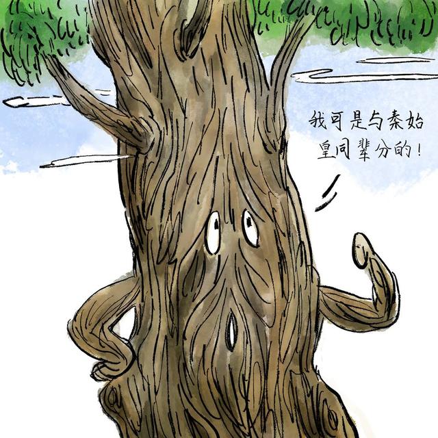四川安逸入画｜翠云廊