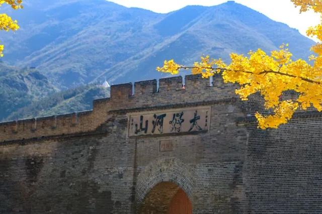 “大好河山”下话茶路古今