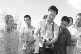 内蒙古自治区阿拉善盟：人才赋能生态治理 昔日沙荒“披绿生金”图片