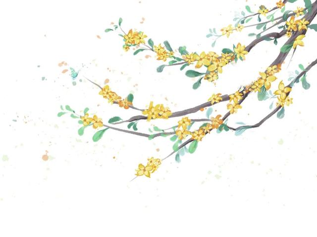 桂花香里行扎西！《学习时报》关注昭通威信