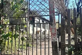 “东北雨姐”带货涉“虚假标注”，律师：情节严重或追究刑责图片