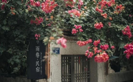 寻找向往的生活，“高速+文旅”让你反复爱上藏在翔安的这些“有风小院”