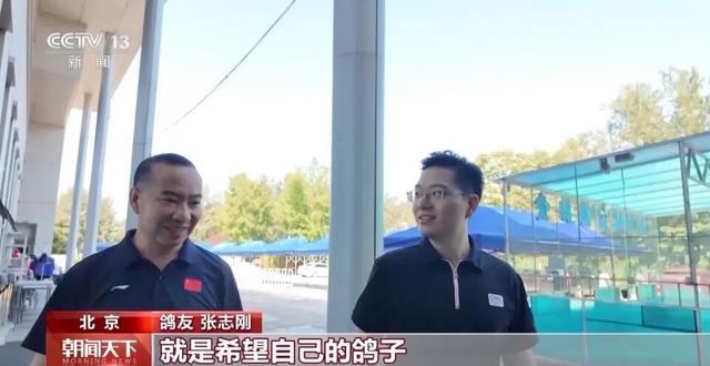 8万只和平鸽都已回家，鸽友40只鸽子参与阅兵：最快20分钟回家，回归率100%