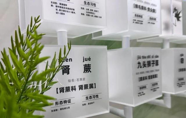 红遍网络的过山车升级版来了，本周五，“西湖夜游观光巴士”即将发车