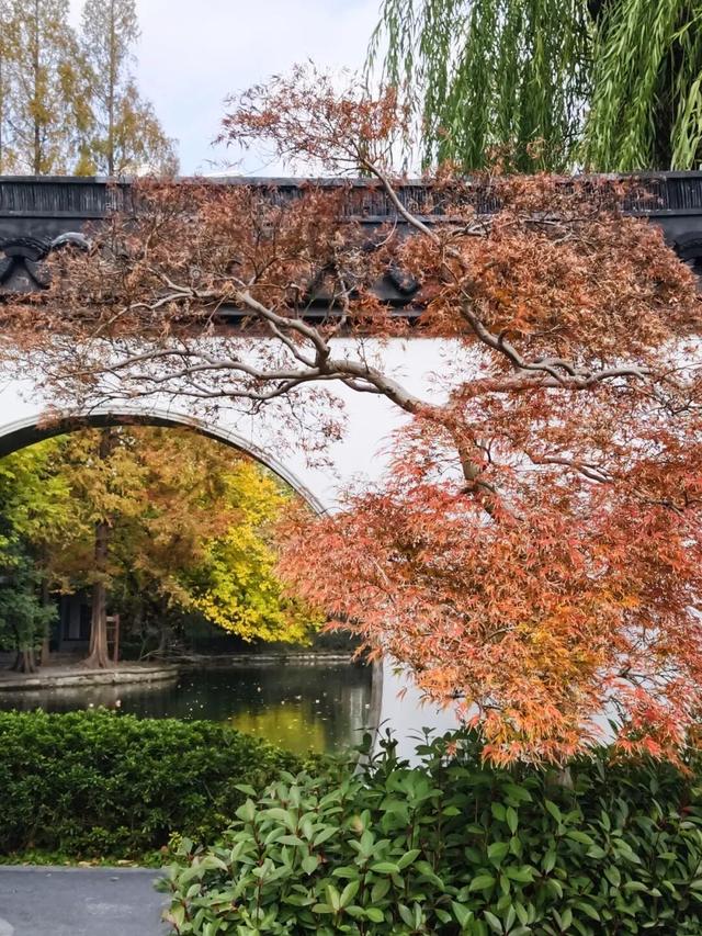 在静安，藏着一处红枫黛瓦的冬日中式美学“顶流”，猜猜在哪里？