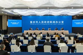 数字重庆建设一周年  取得十项标志性成果图片
