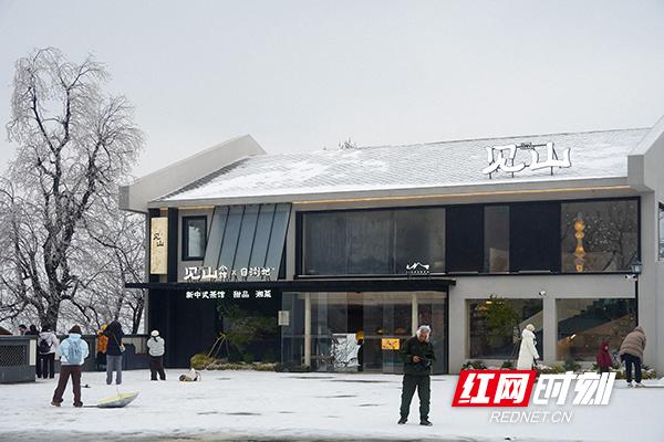 组图丨银装素裹，美成水墨画！岳麓山限定版冬景“上新”