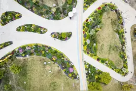 赏各色绣球、兰花 、三角梅 成都世园会温江分会场打卡攻略来了图片