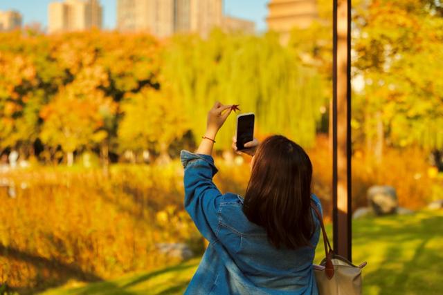 美绝！西安初冬的含金量还在上升！