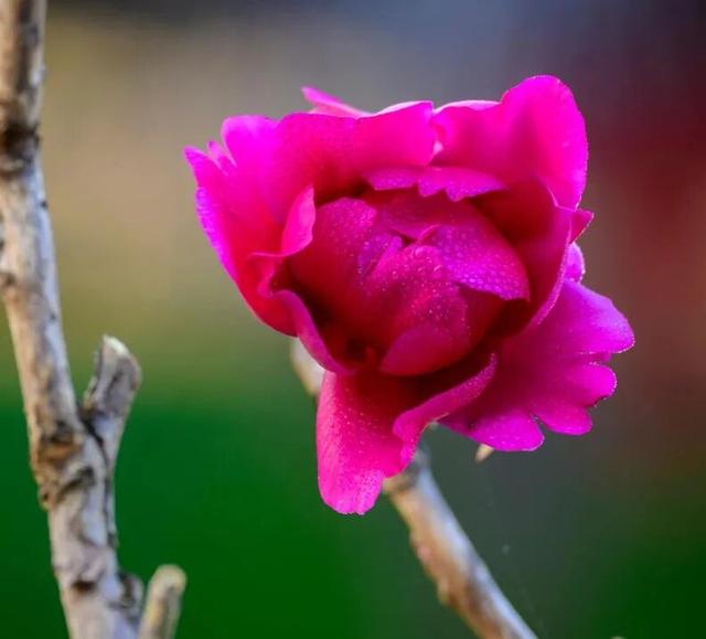 跟着《大生意人》“读”盐城