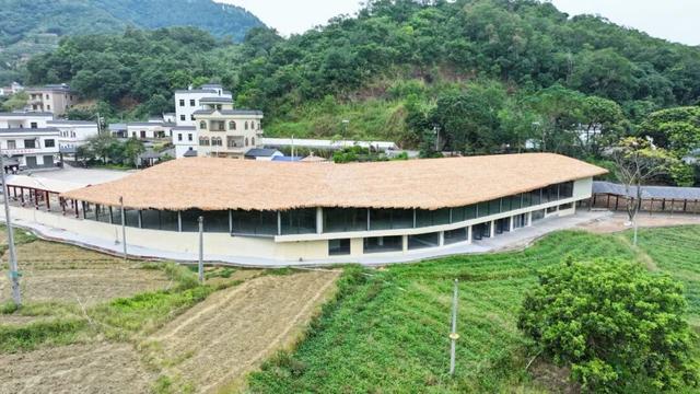 秋日惬意+1！电白“云上南清”上新啦