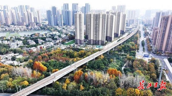 高铁穿越黄塘湖，城市风景美如画