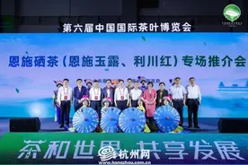深山出好茶 恩施硒茶亮相第六届国际茶博会图片