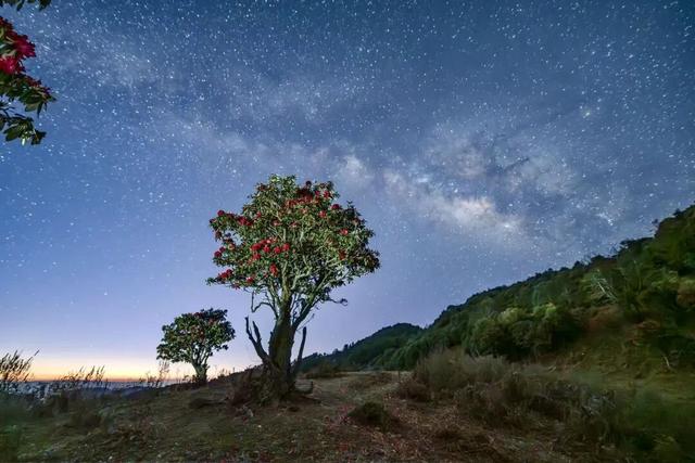 等一场与星辰的私奔！在大理观星，是件浪漫的事