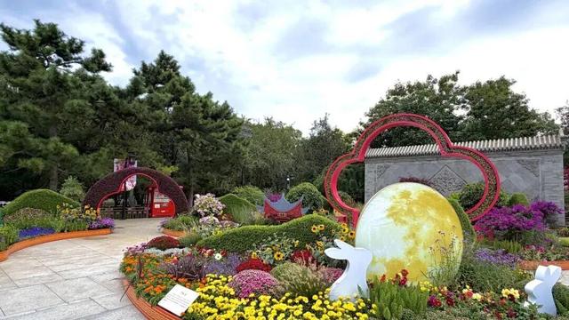 西城官宣！陶然亭公园菊花文化节来了