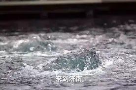 守护黄河安澜|济南公安：让水更清，让“山野精灵”更有安全感图片