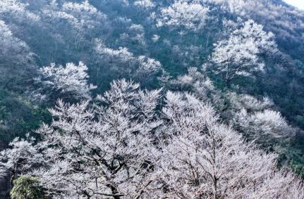 新宁：瑶山之巅雾凇首秀刷屏