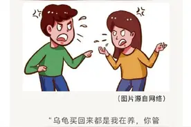 夫妻闹离婚争13只乌龟抚养权，法院调解图片