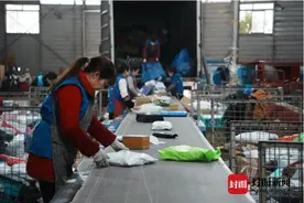 “快递新规”3月1日起施行：投递违规最高罚3万 快递员称工作量会大幅增加图片