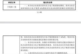 独家 | 称临时提案违反相关规定，东方电子董事会“杠上”第二大股东 副董事长回应：议案合乎法规，已要求撤销对控股股东表决权委托图片