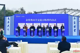 喝羊肉汤、体验亲子喂羊……2024年金堂黑山羊美食文化季开幕图片