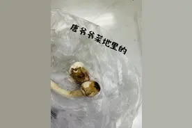 毒性超强！长沙62岁大爷雨后从家中菜地摘下白色蘑菇，没想到吃进ICU图片