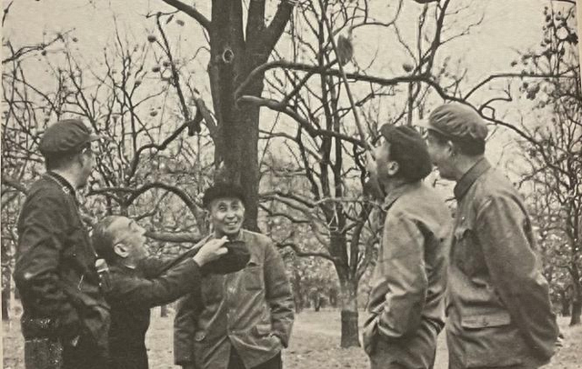 ��������еļҢޣ������ֲ��ͯ���뻪�ǵ��ִ�����̽��