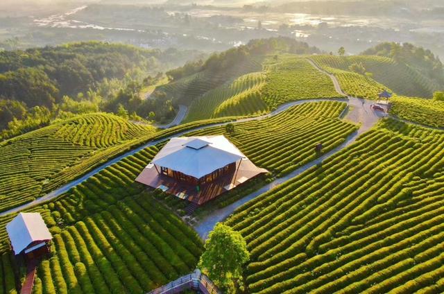 当艺术走入皖南村落，书写了怎样的新风景？