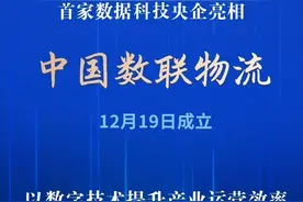 新央企在上海成立！图片