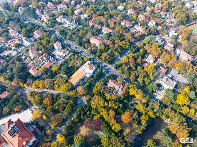 海韵+汇筑+绮景！青岛初冬的浪漫被具象化了