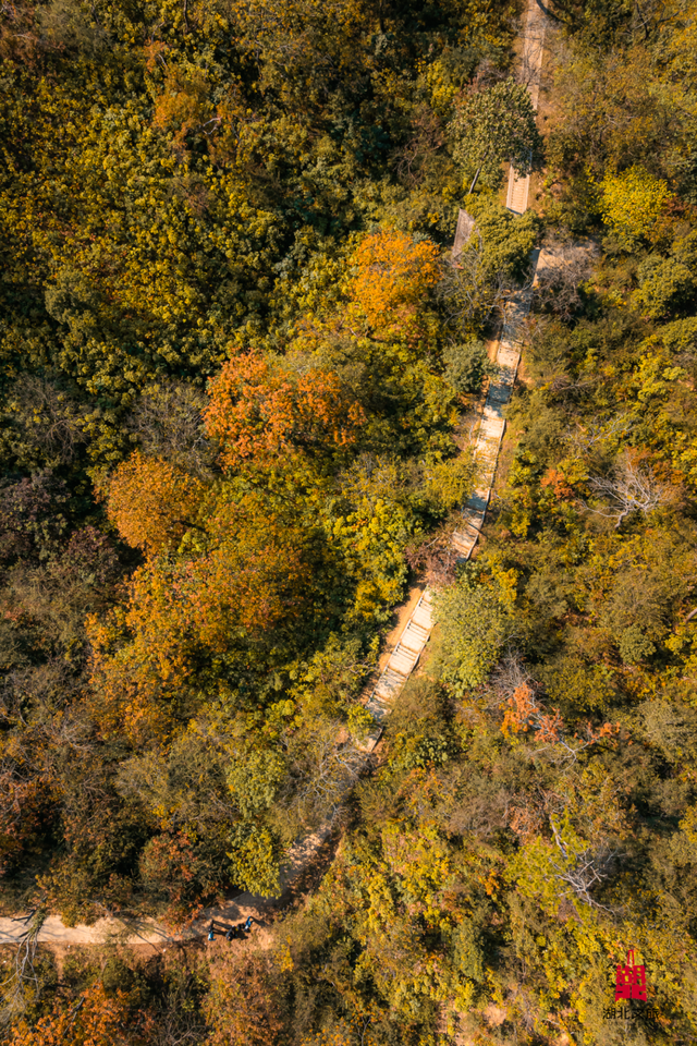 抓住晴天尾巴，徒步青龙山！