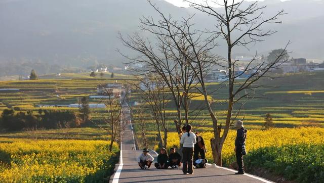 这条路超美超出圈！2月1日，一起来跑吧！