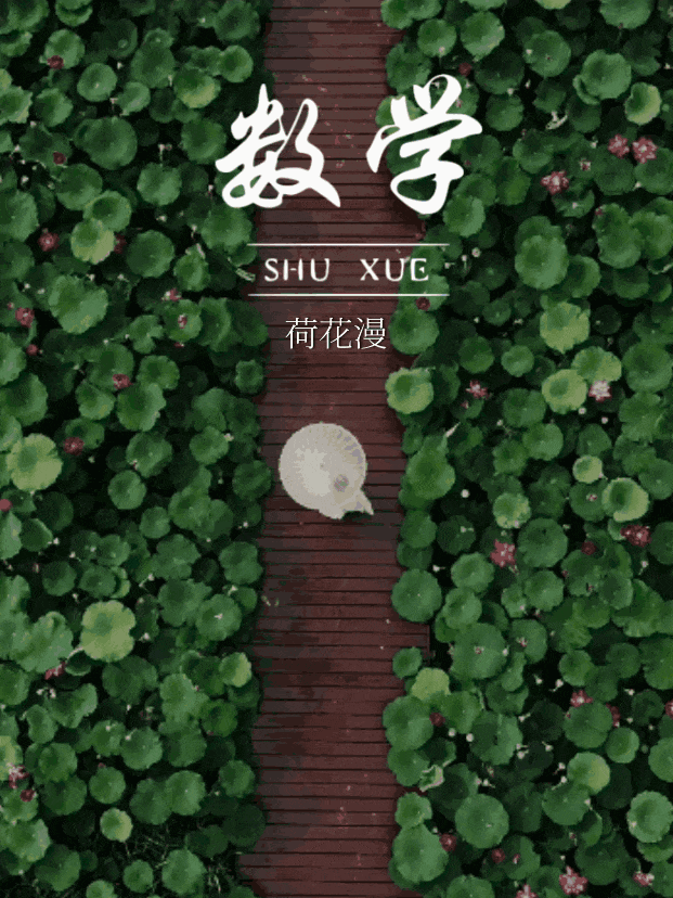翻开课本封面水乡的秘密