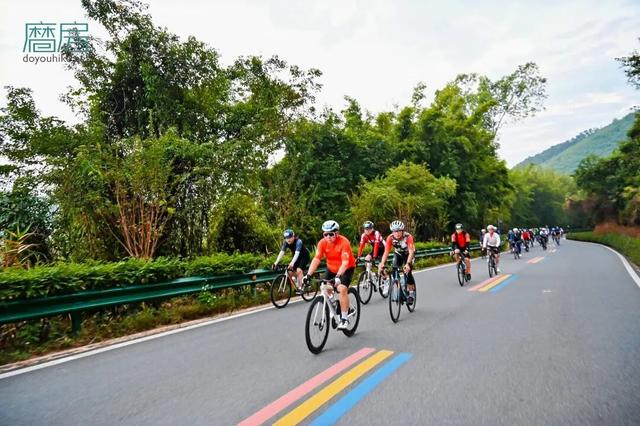 TVB老戏骨领骑，近2000名参赛者开启两广“骑”缘