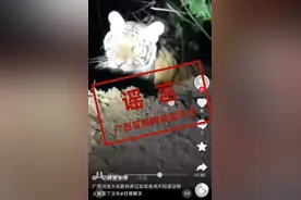 官方辟谣广西两地出现野生老虎：系网友吹嘘图片