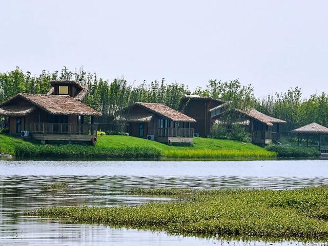 粉丝问爆了！南充研学去哪？来这里解锁 “好玩又涨知识” 的新体验