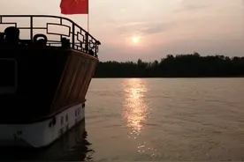 清丝小菜沥水卖图片