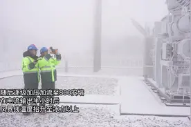 湖北孝感：消除覆冰安全隐患 保障春节安全输电图片