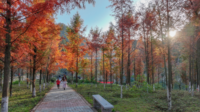 郧西县观音镇刘家湾村初冬美景引客来